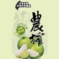 農榨芭樂綜合飲900ml